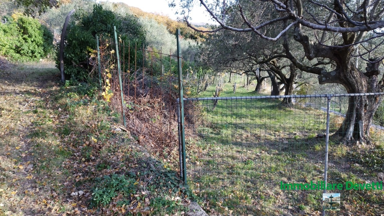 Terreno Agricolo in Vendita San Dorligo della Valle - Dolina