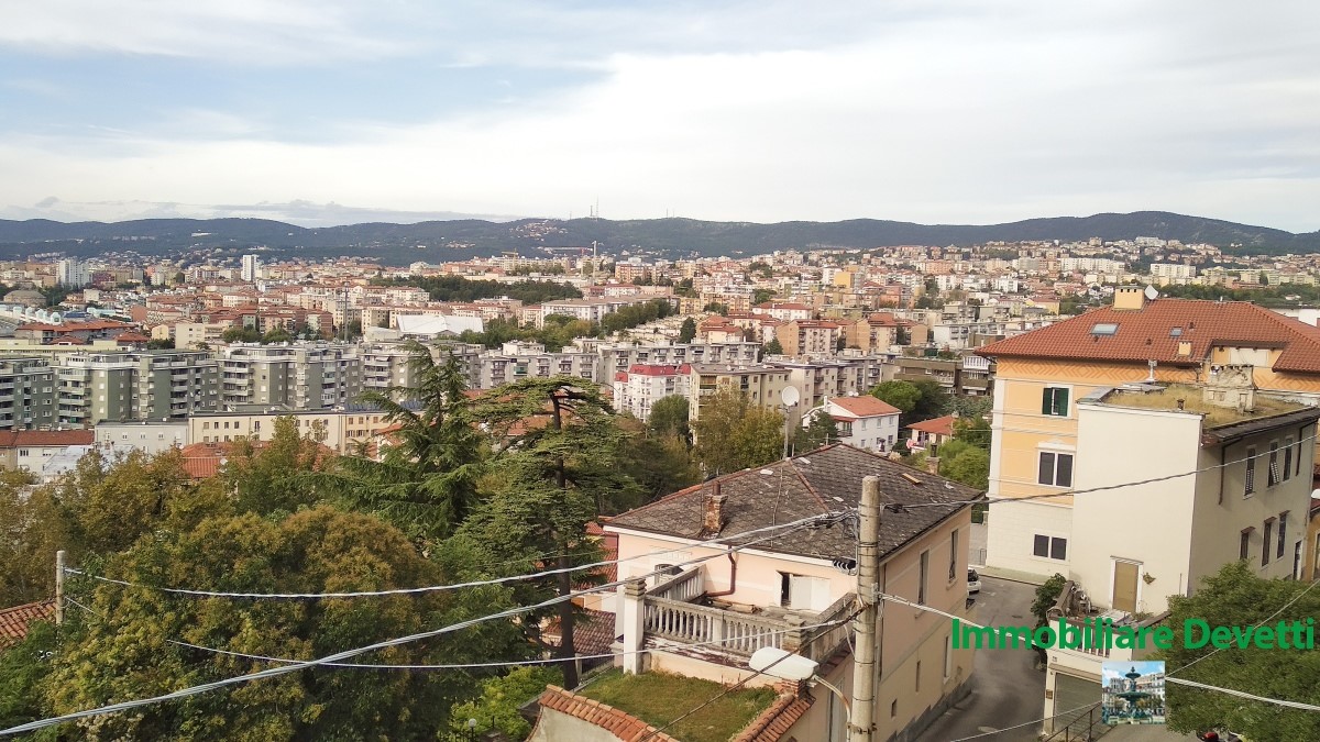 Appartamento TRIESTE affitto  Trieste  Immobiliare Devetti